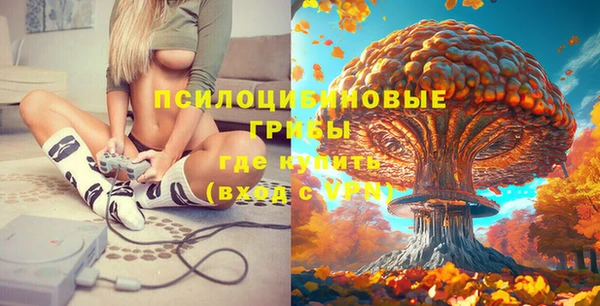 индика Абинск