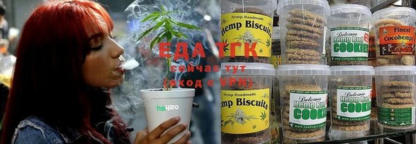 индика Абинск
