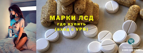 индика Абинск