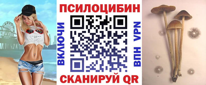 Галлюциногенные грибы ЛСД  Александровск 